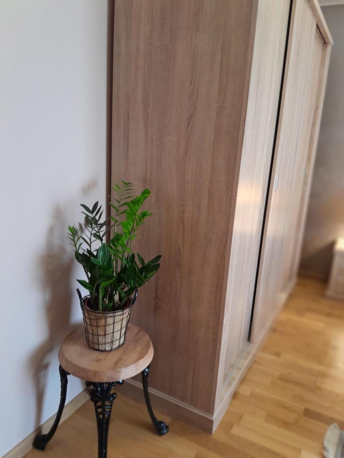 Ferienwohnung Ap Hector Năvodari Exterior foto